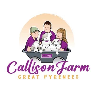 Callison Farm Great Pyrenees
