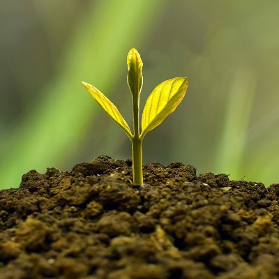 Growth CFO 🌍 🕊️🇺🇦