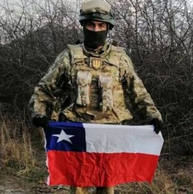 Chile Nafo 🇨🇱 🌻 🇺🇦