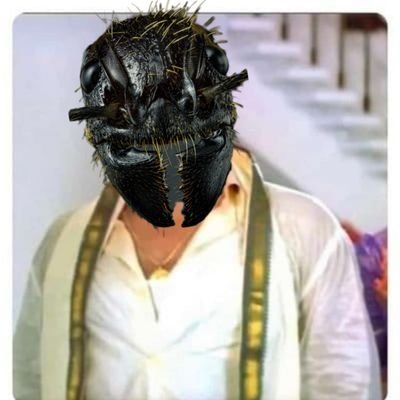 🎇காட்டெறும்பு🎇