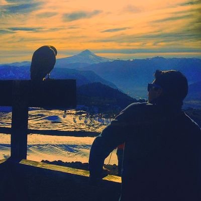 Ehsan AriaN 🇮🇷