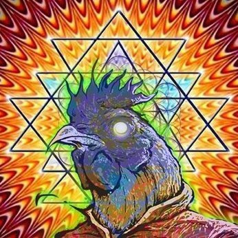 ƍ◭ Horoscopollo ⧩ƍ