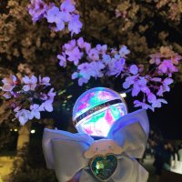 🏴‍☠️☠️亀にゃっしー(´∀')