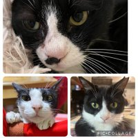 ルー💙リブ❤️ラブ❤️