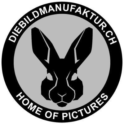 dieBildmanufaktur.ch 🇨🇭