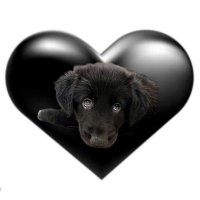 🅟🅐🅣🅘🅒🅞