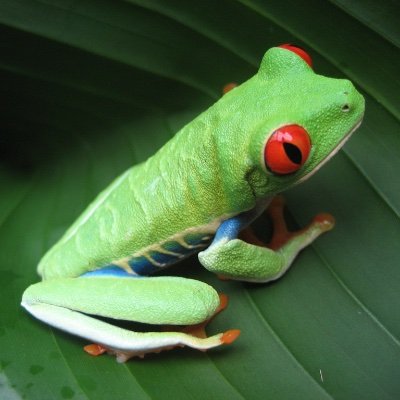 El "Rincón☕️de Chema."