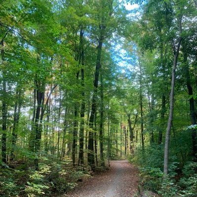 Prashanth - प्रशान्तः