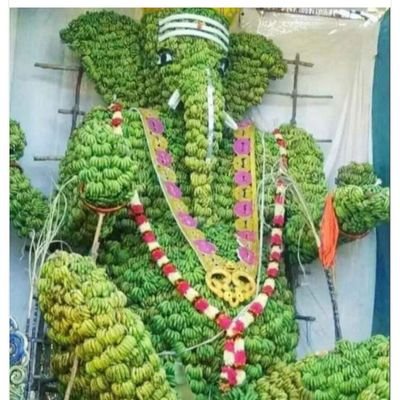 Sun_Jeev (the life of Sun 🌞) aka Karma_Purte_Mama