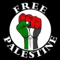 Rasheed 🇵🇸🇲🇦🔻