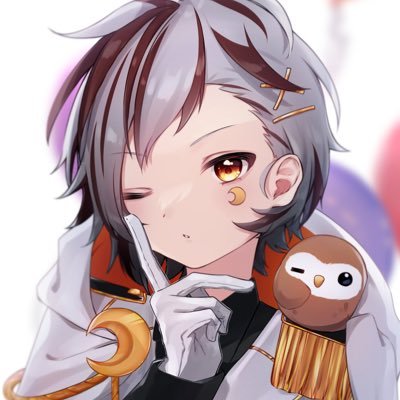 りょうる🦉🌙包丁で刺されたVTuber