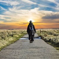 TURBULENT World (ऊबङ-खाबङ दुनिया)