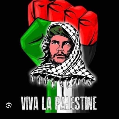 Mollie Malone 🇮🇪