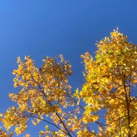 Wolfgang Thiel 📯💙💛 #FBPE