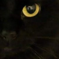 Michael a Son of Troy 🍻