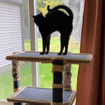 Charlie and, um. . .Bogie