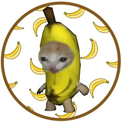 Banana Cat 🍌🐱