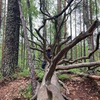 ⌘ Jussi Pennanen ⌘