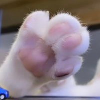 お米ときのこ🍄