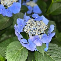 さらりとしためがね