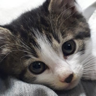 USNOJACK@ClimateActionNow!