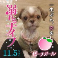 ユキノナーニー