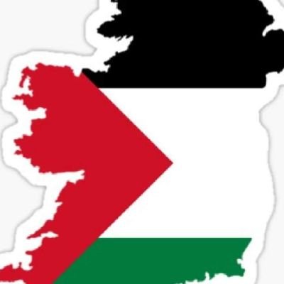 Michael O'Connor, unvetted 🇵🇸