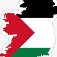 Michael O'Connor, unvetted 🇵🇸