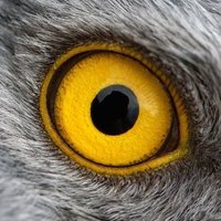 Crypto💫👁️$ Hub 🕊️👁️