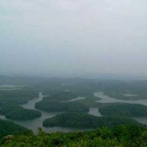 Didit bravosky|Kaisar|Voltix.ai"SparkChain.AI"