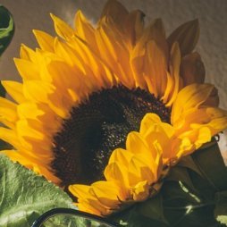 Stephanie 🇺🇸 ❤️ 🇺🇦 🇨🇦 🇬🇱