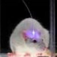JimeV Augmented Mouse