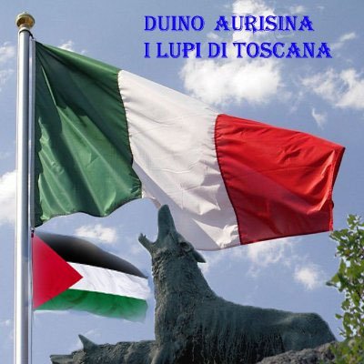 Publio - Palestina ๐๐๐๐๐๐๐