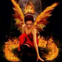 கவி தா🇮🇳