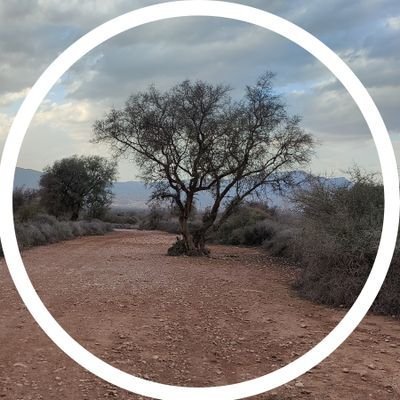 𝑩𝒍𝒖𝒆 𝑺𝒖𝒍𝒕𝒂𝒏⭐⭐