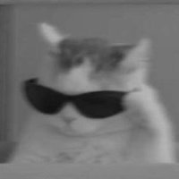 𝙏𝙨𝙪𝙣𝙖 ❥