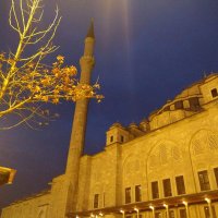 🇹🇷 Rahime Seyhan