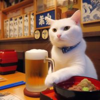 Hiroyuki KAKYOUIN【華京院聖潔】裏bot. withアスクビクターモア