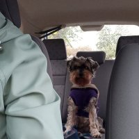 Marjolein/Kaiser OTRB 🇪🇺💙💛🕊