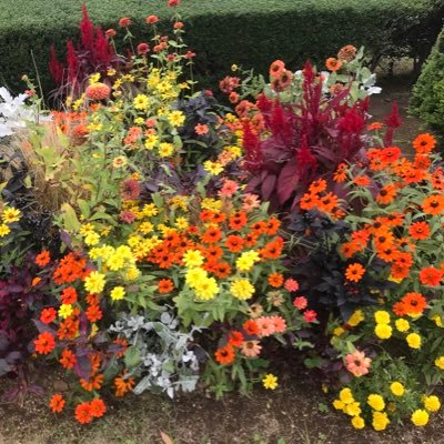 ヒナ子@人間になりたい…