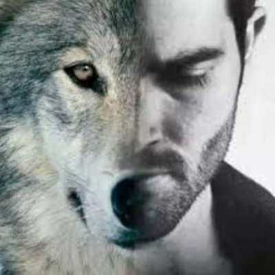 Storm 🇩🇪🇮🇹🇮🇪🇺🇸 🇺🇦🌩️🐍