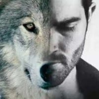 Storm 🇩🇪🇮🇹🇮🇪🇺🇸 🇺🇦🌩️🐍