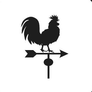 Erkekleri Koruma Derneği