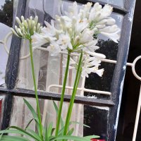 BIshop Peninah Adero