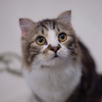 เธอมีธันวาเป็นของตัวเองไม๊