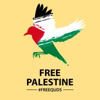 🔻Mashkur Sayyed🔻