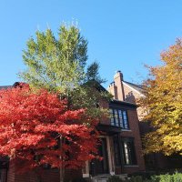 KnowledgePower (pronouns: here/there)