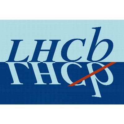 LHCb Experiment