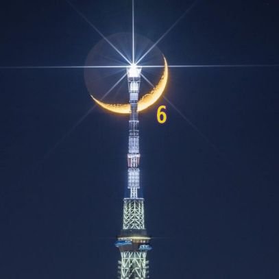 なおーん・ぱお～ん (nao)🎤🧸 🍮 🐯🐺🦎