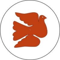 Zapsavvy Allen Patten